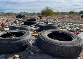 En las llantas viejas y cacharros zancudos tienen sus madrigueras 