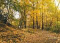 En unas semanas llegará el Otoño con temperaturas mas frescas