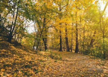 En unas semanas llegará el Otoño con temperaturas mas frescas