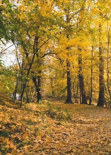 En unas semanas llegará el Otoño con temperaturas mas frescas
