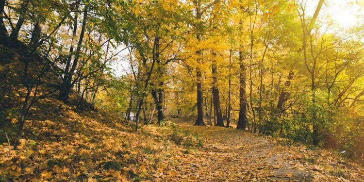 En unas semanas llegará el Otoño con temperaturas mas frescas