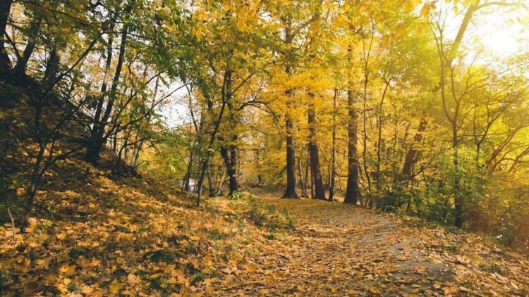 En unas semanas llegará el Otoño con temperaturas mas frescas