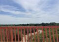 Falta de lluvias mantiene en agonía al río “Conchos”