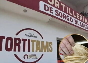 La tortilla de sorgo es una opción nutritiva y más barata 