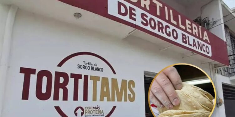 La tortilla de sorgo es una opción nutritiva y más barata