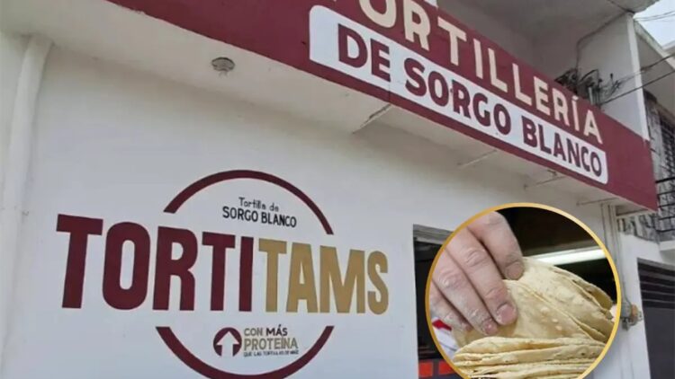 La tortilla de sorgo es una opción nutritiva y más barata