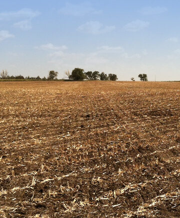 Desde Valle Hermoso, Américo refrenda compromiso para seguir impulsando liderazgo agrícola de Tamaulipas