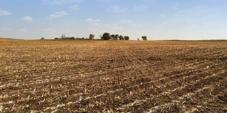 Desde Valle Hermoso, Américo refrenda compromiso para seguir impulsando liderazgo agrícola de Tamaulipas