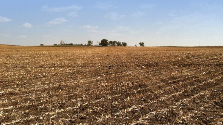 Desde Valle Hermoso, Américo refrenda compromiso para seguir impulsando liderazgo agrícola de Tamaulipas