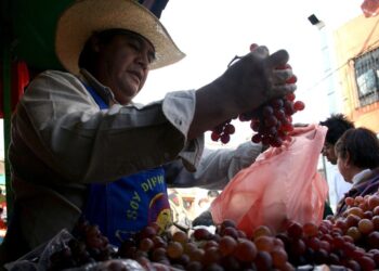 Dejaron la inseguridad alimentaria 8.6 millones de mexicanos en 10 años