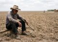 Bancos dejan de apoyar a empresas que financian al campo; bodegas sin recursos