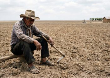 Bancos dejan de apoyar a empresas que financian al campo; bodegas sin recursos
