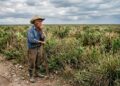 A TAMBOR BATIENTE/ EL CAMPO; ESCENARIO PATÉTICO 