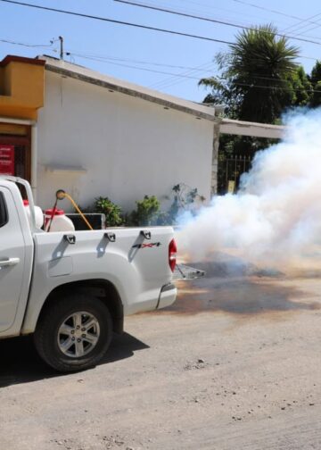 Fumigaciones urgentes se necesitan en zonas urbanas y rurales de San Fernando