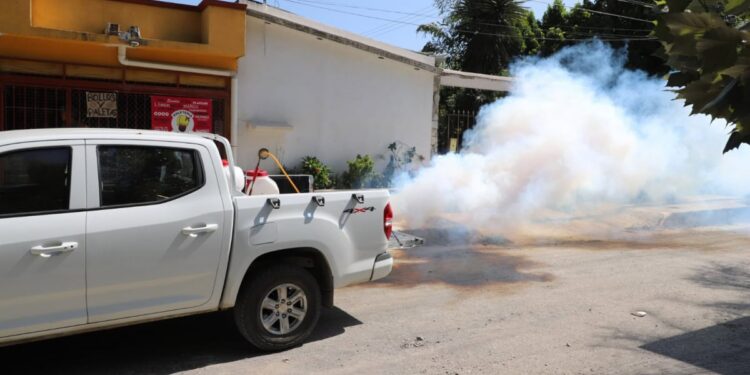 Fumigaciones urgentes se necesitan en zonas urbanas y rurales de San Fernando