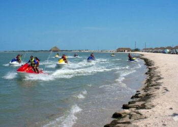 Laguna madre en San Fernando; lugar para invertir con confianza