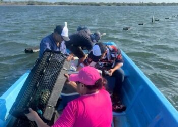 “Nortes” son aliados de la producción pesquera en la laguna madre 