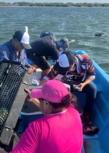 “Nortes” son aliados de la producción pesquera en la laguna madre