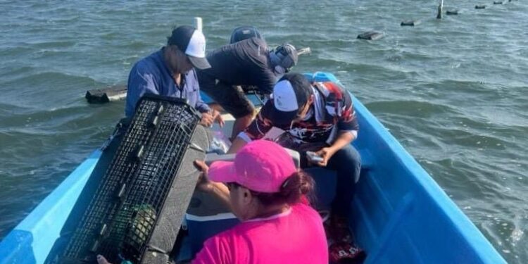 “Nortes” son aliados de la producción pesquera en la laguna madre 