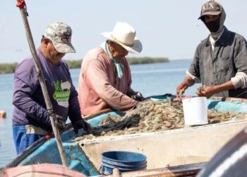 Veda de Lisa está siendo respetada en la laguna madre