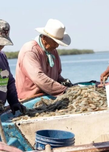 Veda de Lisa está siendo respetada en la laguna madre