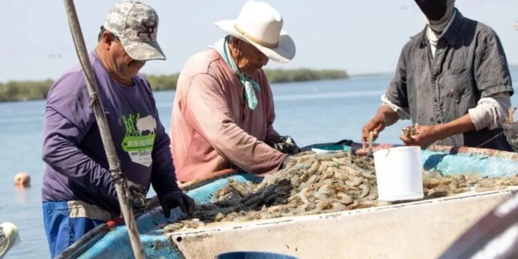 Veda de Lisa está siendo respetada en la laguna madre