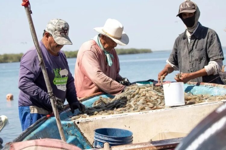 Veda de Lisa está siendo respetada en la laguna madre