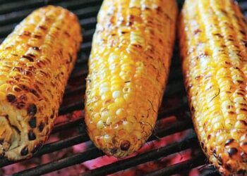 En lugar de paletas venderán elotes; clima lo amerita